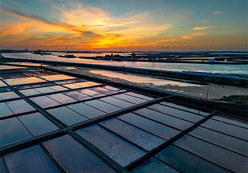 Salinas da Ria de Aveiro ao pôr do sol com tanques de extração de sal e paisagem natural da ria.
