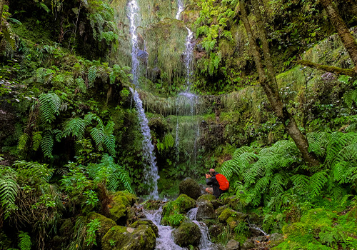 Homem a observar uma cascata de água na Madeira.