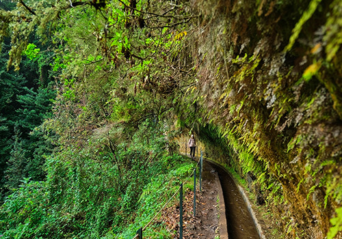 Caminhante percorre uma levada na ilha da Madeira.