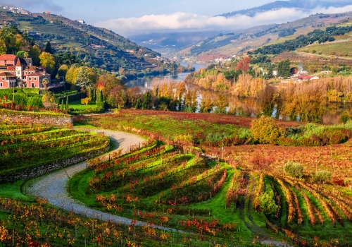Douro Valley