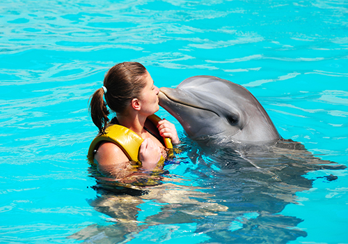 Woman wearing a life jacket interacting with a dolphin in a pool at an amusement park.